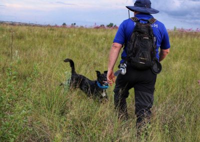 Tracking dog and handler in an open field