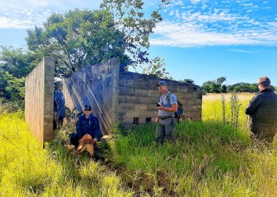 Four people and a dog at a derelict building in a field