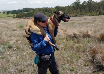 Handler carrying a tracking dog on their shoulders