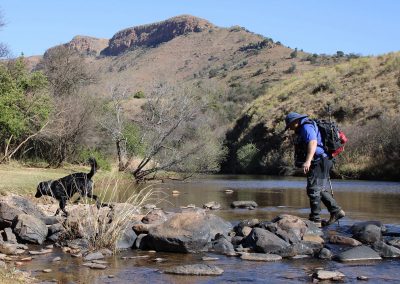 Tracking dog and handler crossing a stream