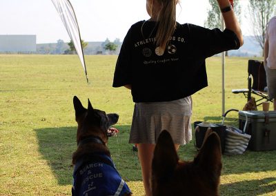 Trainer throwing an object for tracker dogs to retrieve